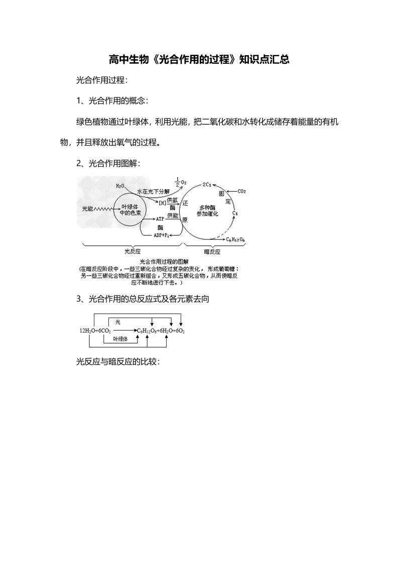 高中生物光合作用的过程知识点汇总