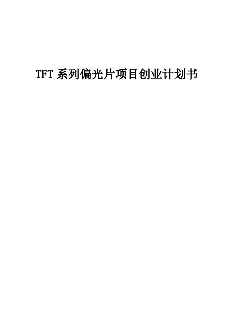 TFT系列偏光片项目创业计划书