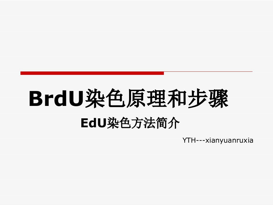 BrdU染色原理和步骤