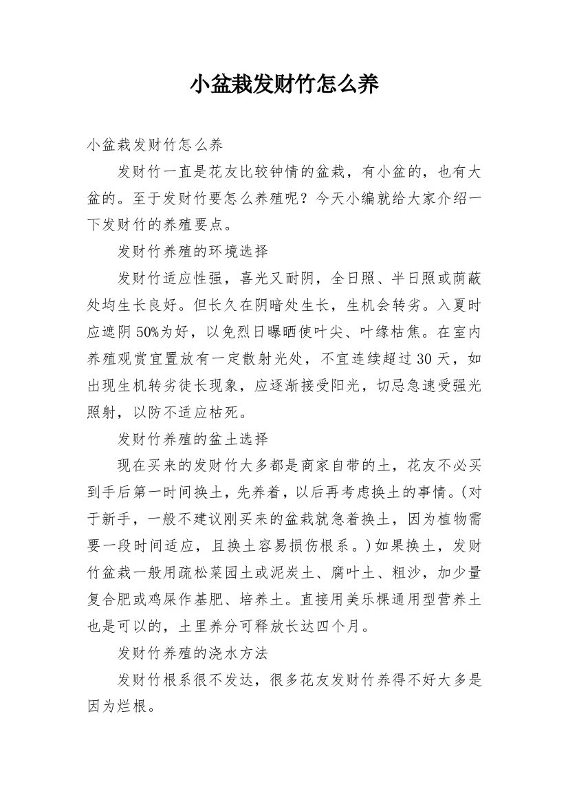 小盆栽发财竹怎么养