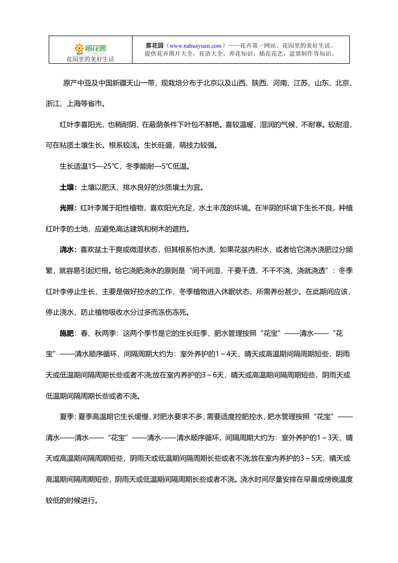 详解：红叶李的养殖方法与栽培管理要点