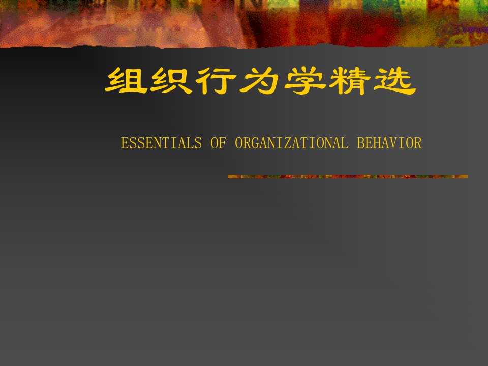 组织行为学精选（PPT99页）