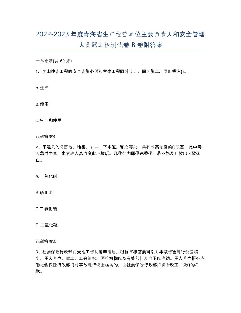 20222023年度青海省生产经营单位主要负责人和安全管理人员题库检测试卷B卷附答案