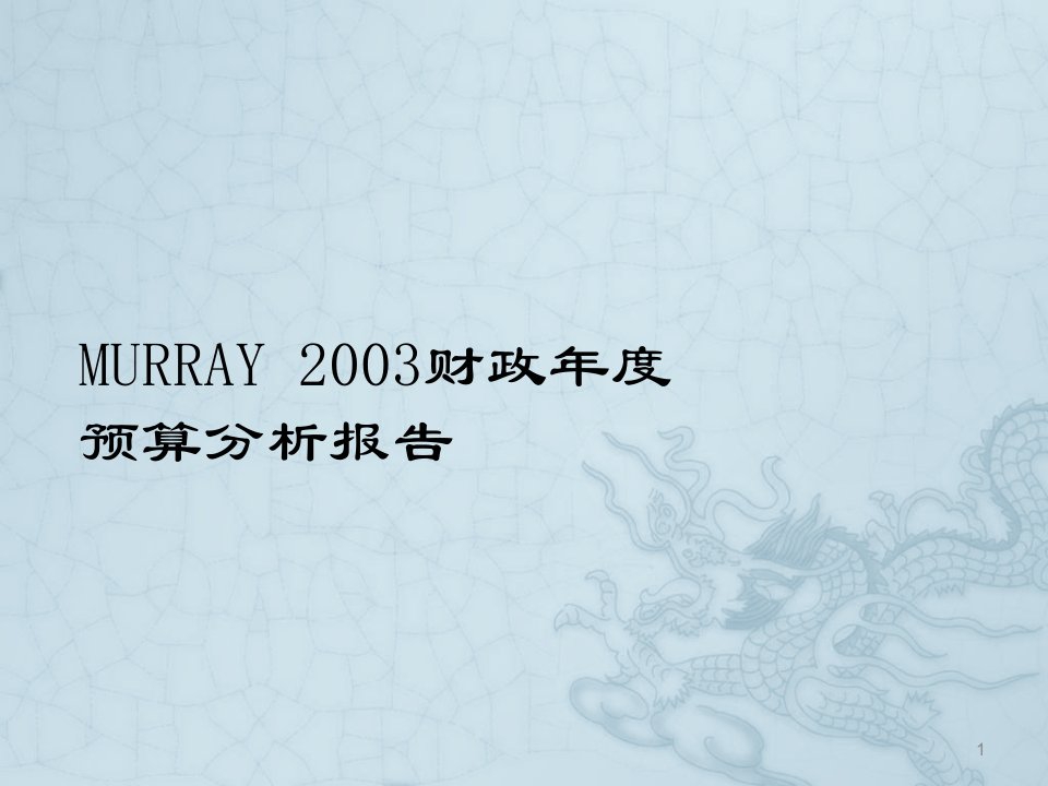 预算分析报告ppt课件