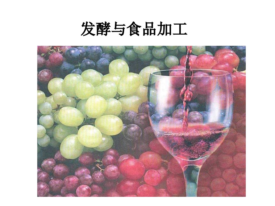 高二生物发酵与食品加工