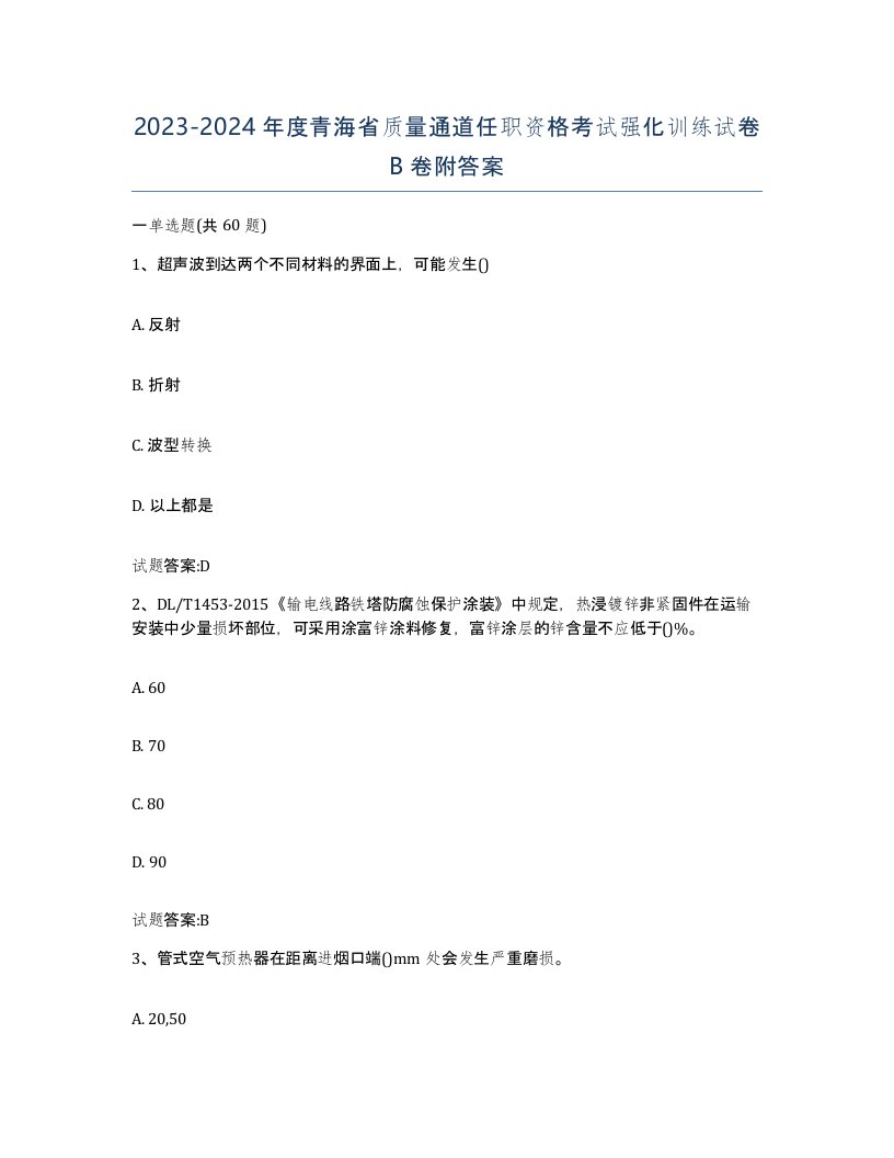 20232024年度青海省质量通道任职资格考试强化训练试卷B卷附答案