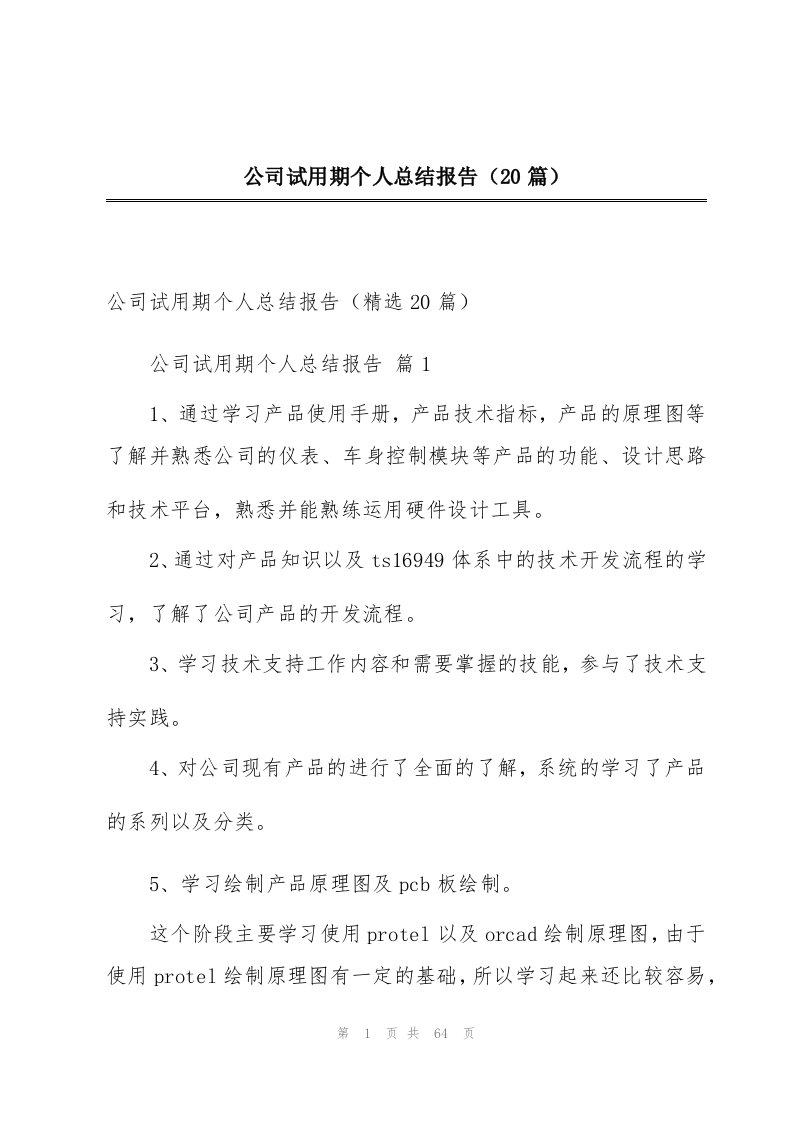 公司试用期个人总结报告（20篇）