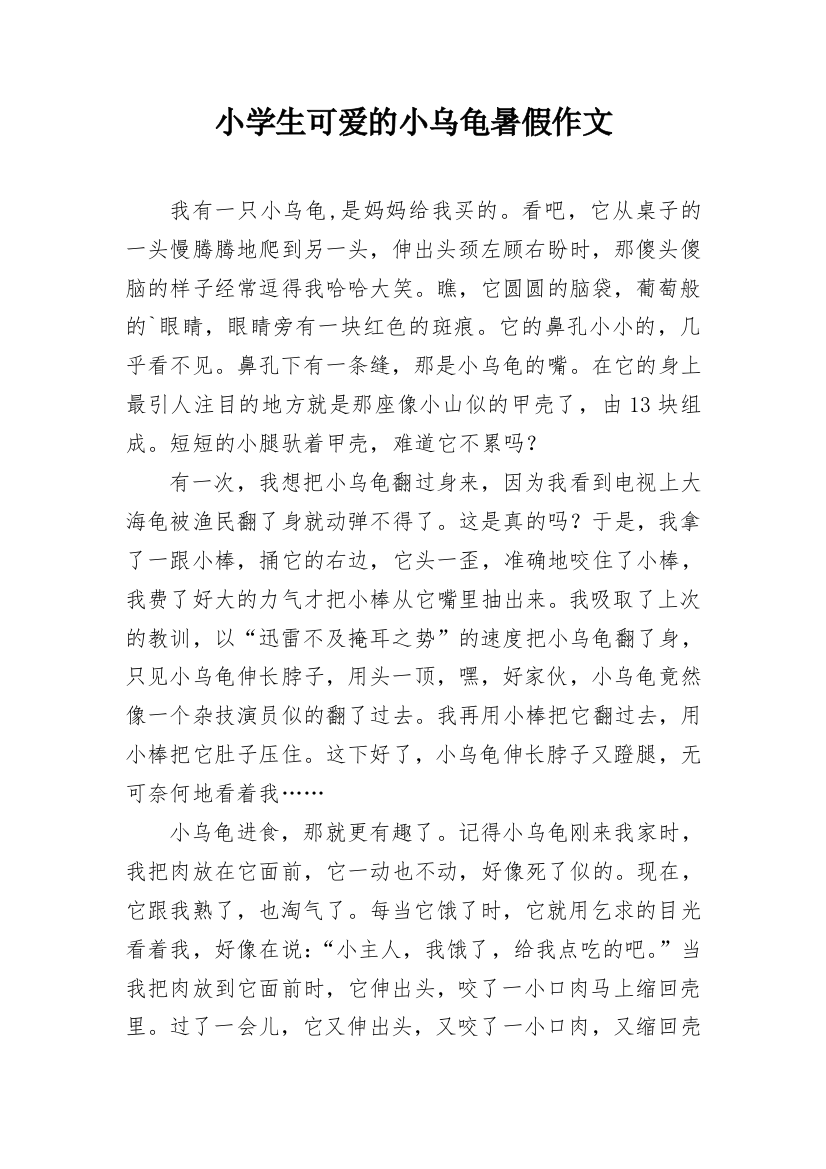 小学生可爱的小乌龟暑假作文