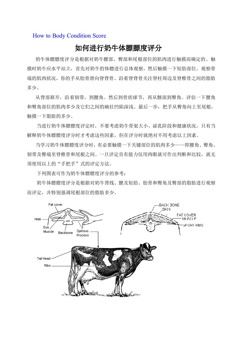 精选奶牛体膘膘度评分方法