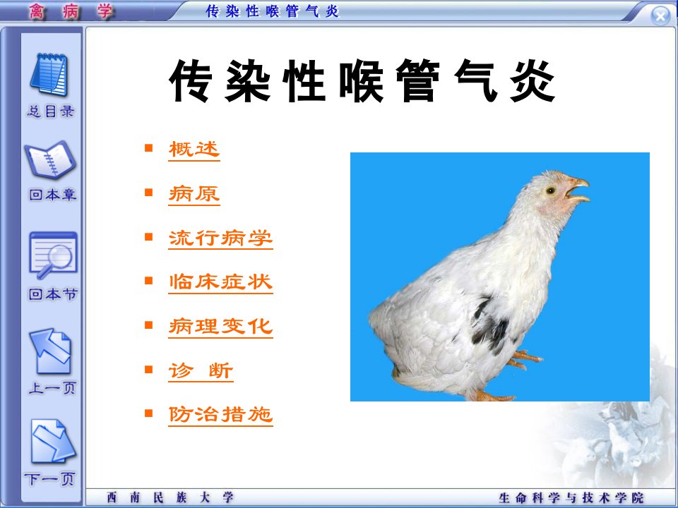 精品课程《禽病学》ppt