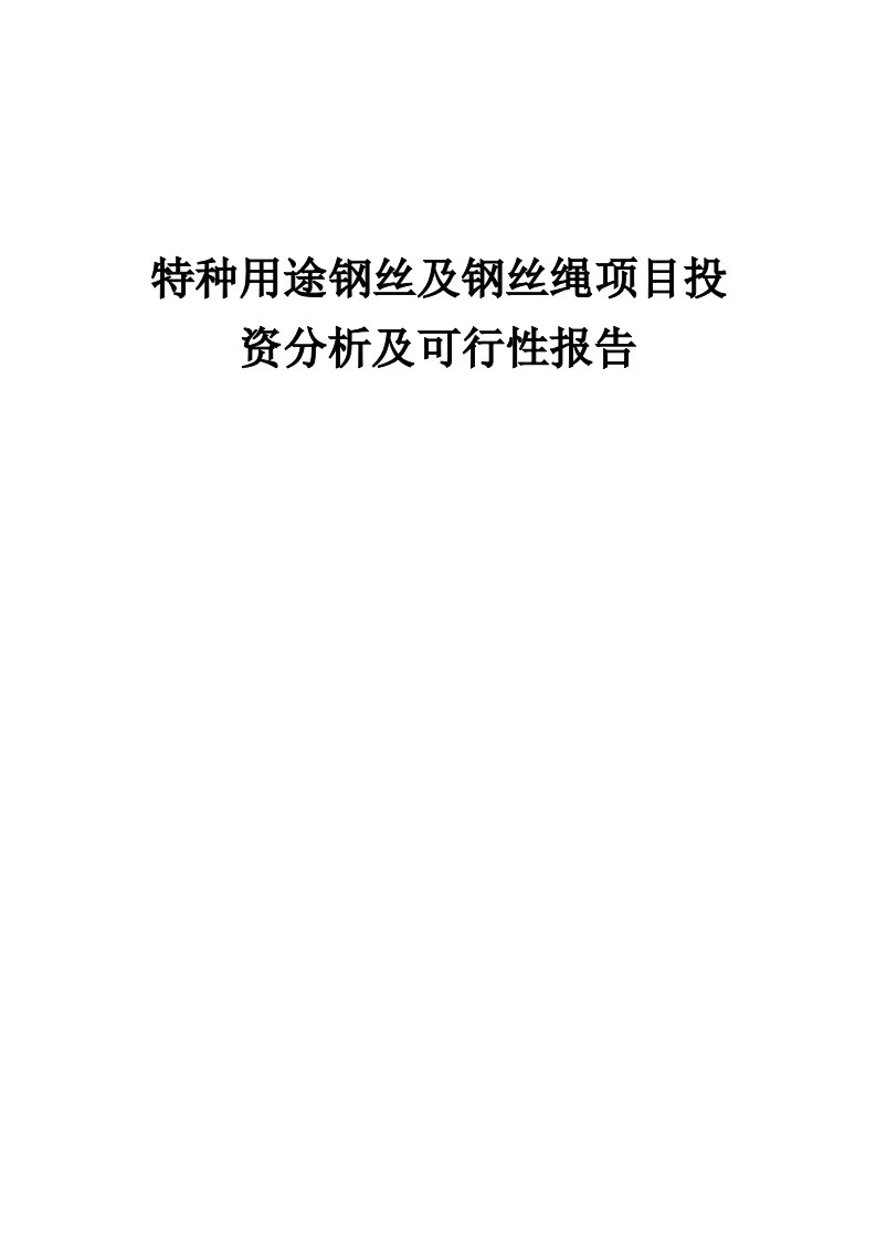 2024年特种用途钢丝及钢丝绳项目投资分析及可行性报告