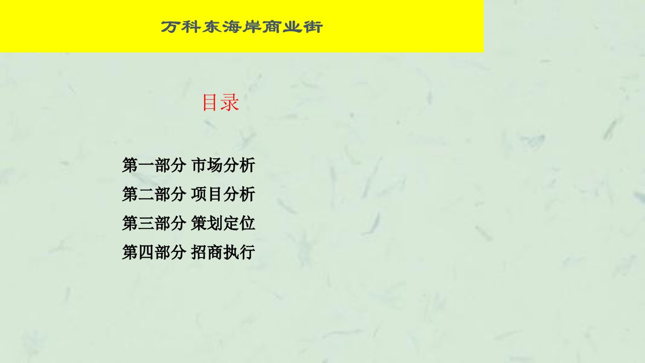 深圳海岸商业街定位策划报告课件