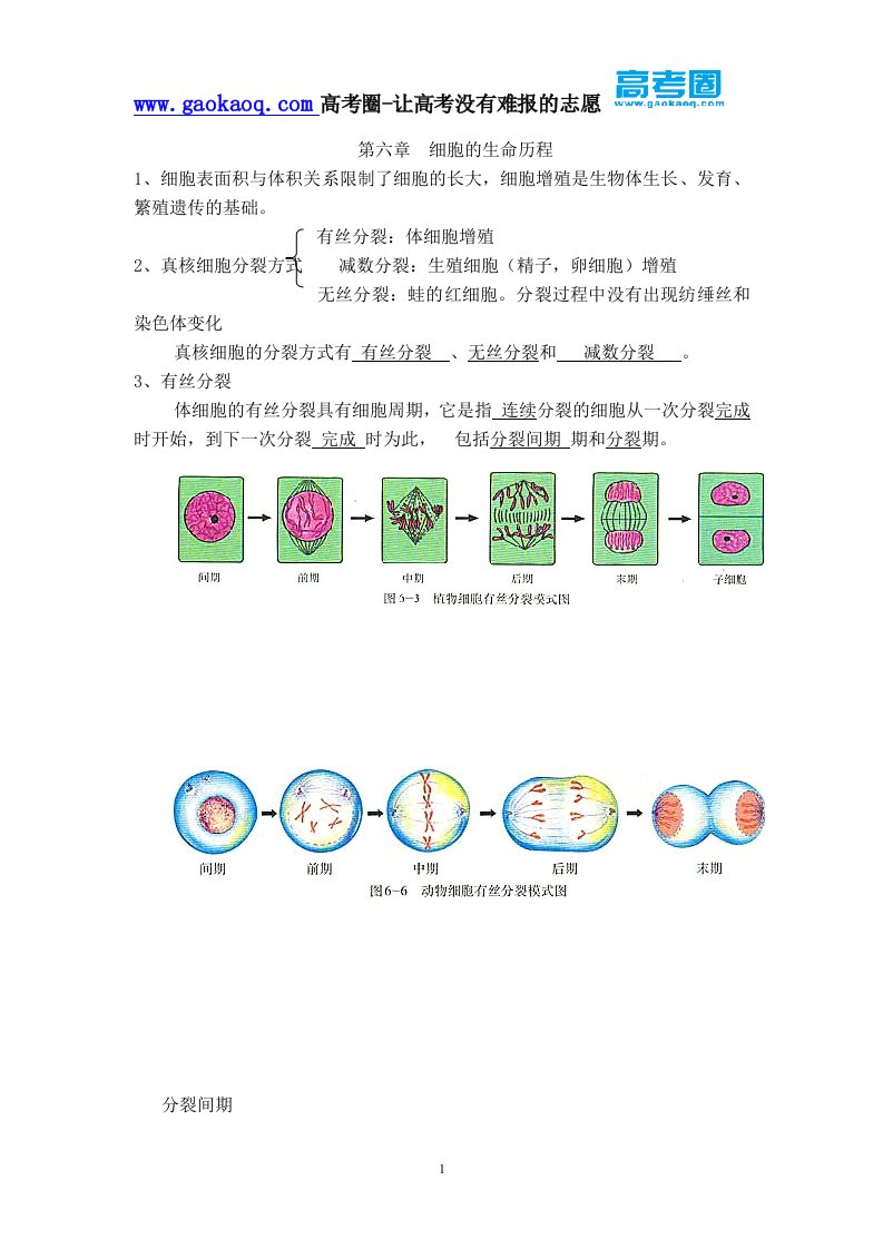 高中生物必修二第六章知识点总结