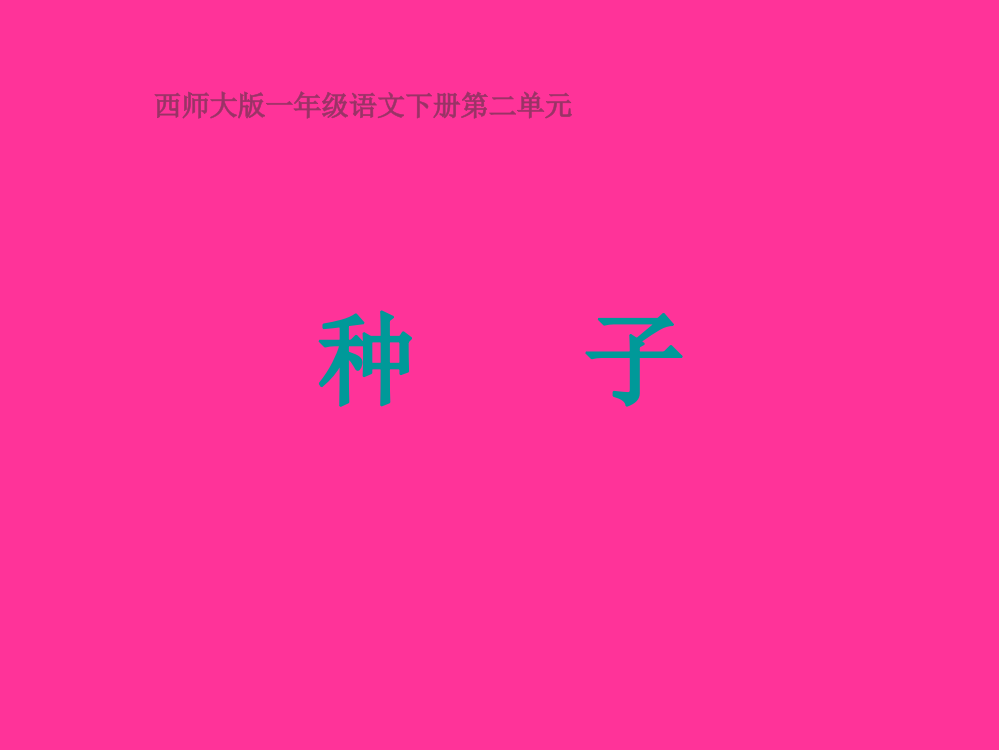 小学语文一年级课件-种子-西师大版