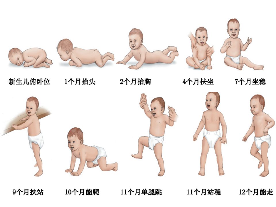 儿科护理学儿童生长发育课件