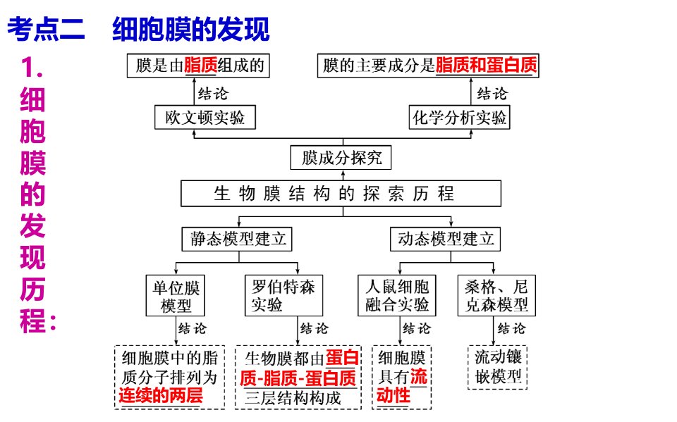 高三生物一轮复习细胞膜和流动镶嵌模型ppt课件