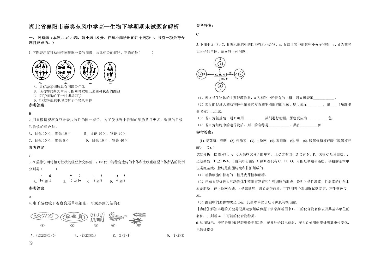 湖北省襄阳市襄樊东风中学高一生物下学期期末试题含解析