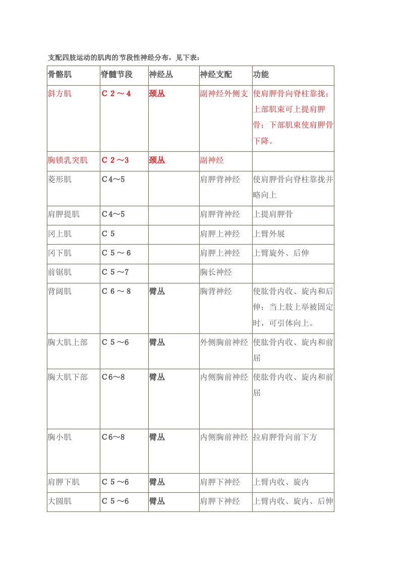 肌肉和节段