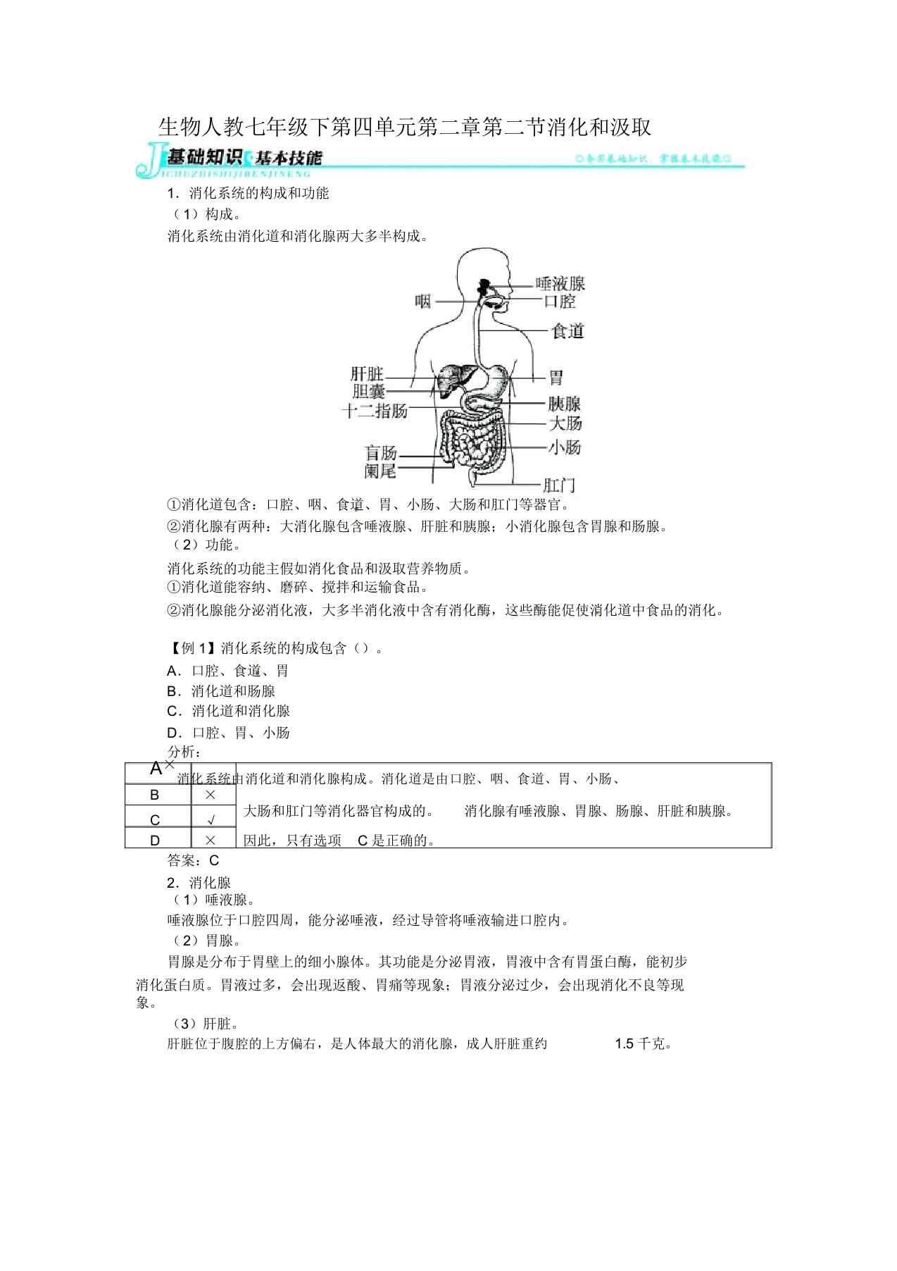 初中七年级生物练习题下-消化和吸收