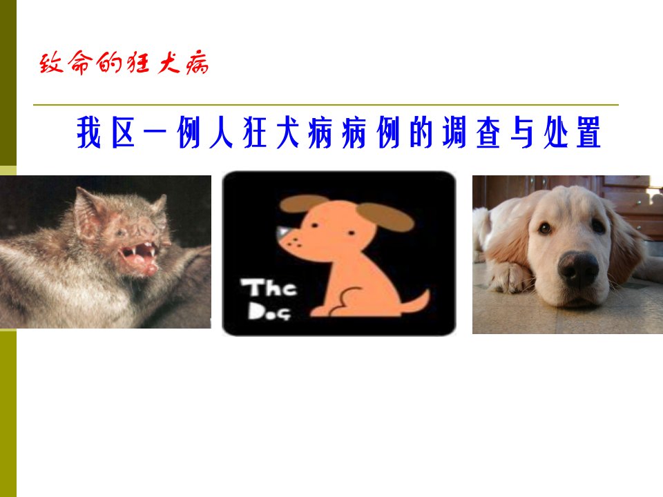 狂犬病的预防与控制