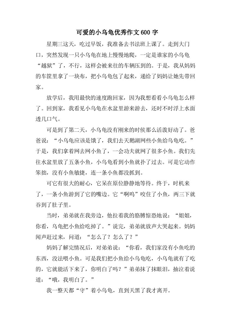 可爱的小乌龟作文600字