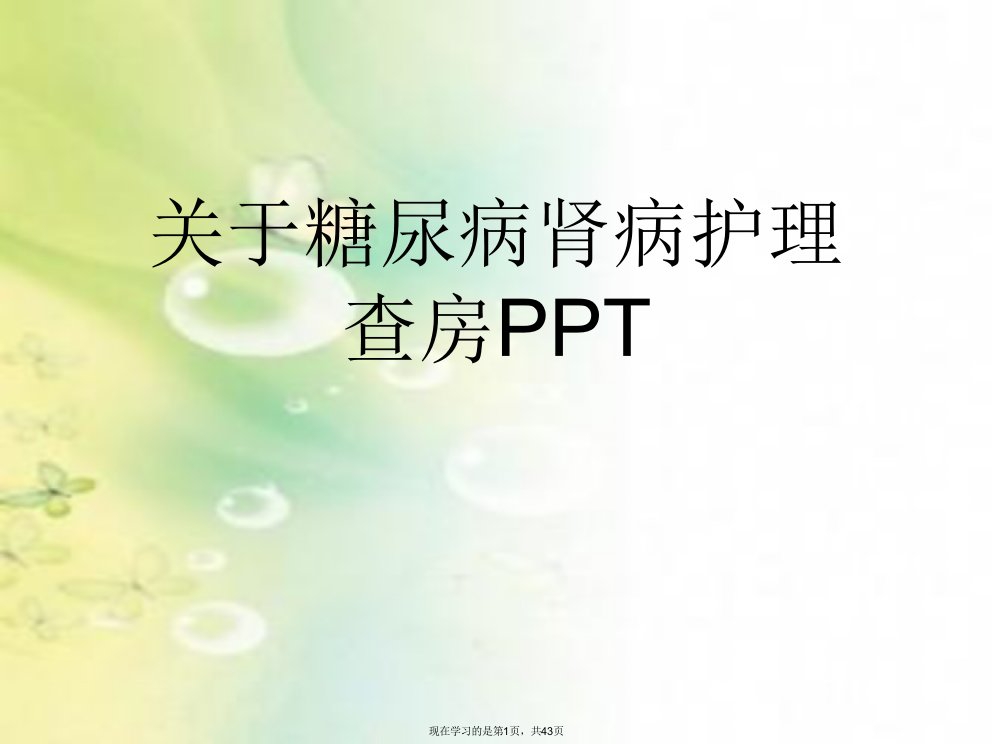 糖尿病肾病护理查房PPT课件