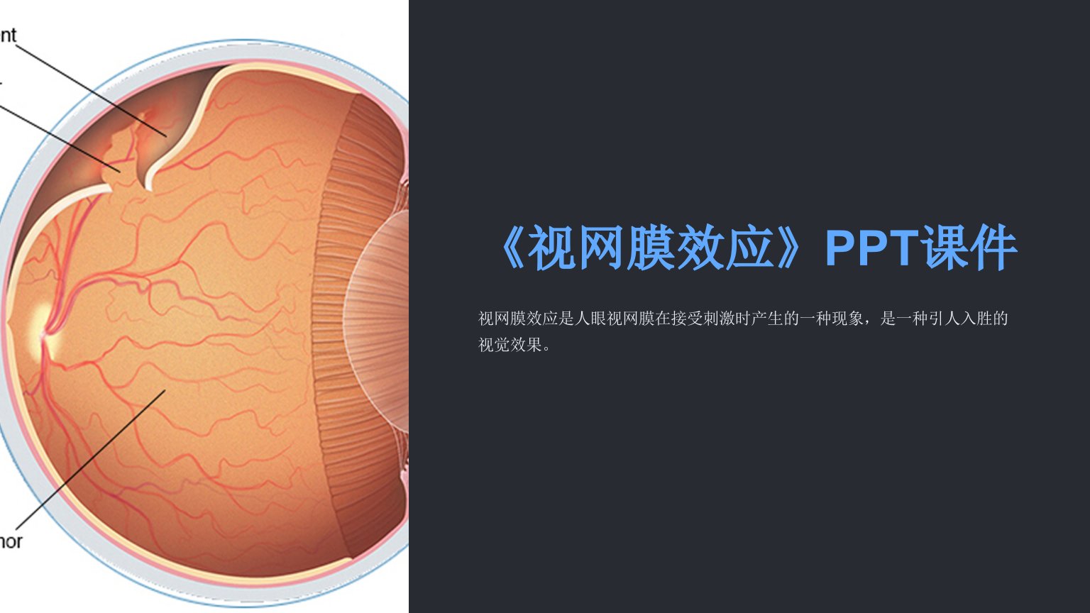 《视网膜效应》课件