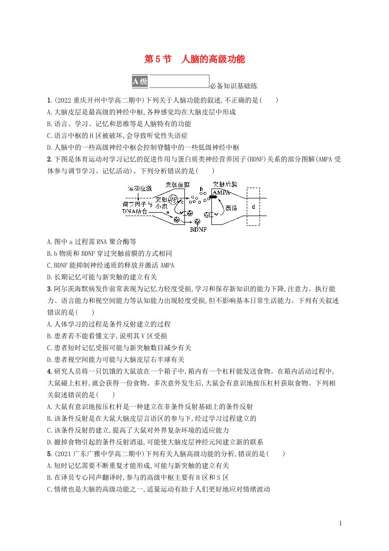 2022_2023学年新教材高中生物第2章神经调节第5节人脑的高级功能课后习题新人教版选择性必修1