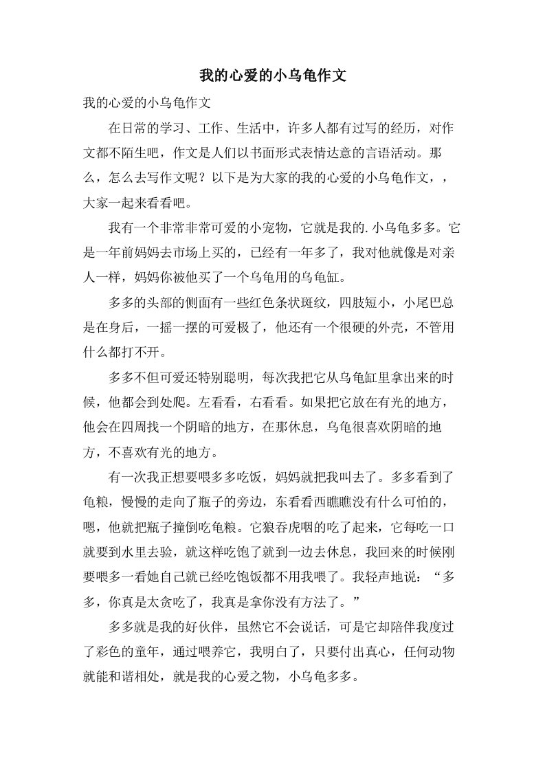 我的心爱的小乌龟作文