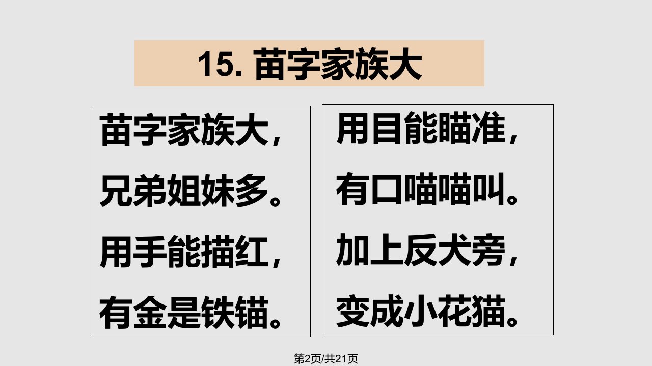 苗字家族大学习