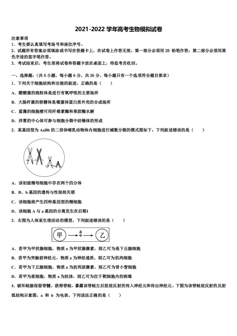 2022届安徽省蚌埠市禹会区北京师范大学蚌埠附属学校高三第三次测评生物试卷含解析