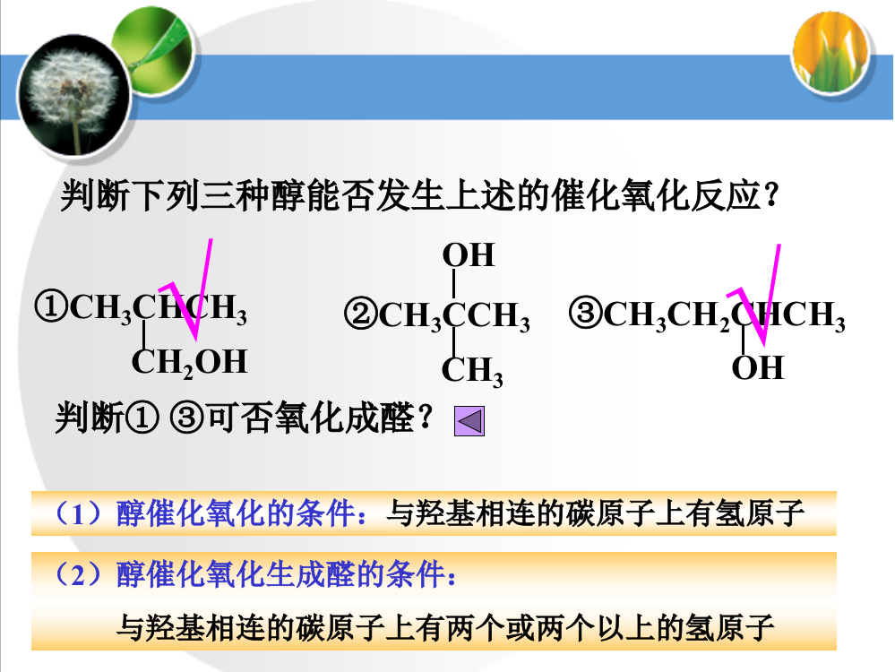 醇的催化氧化