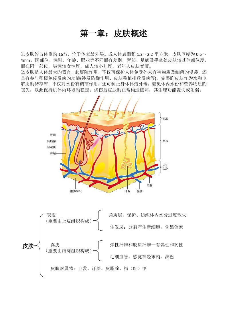 皮肤管理基础知识