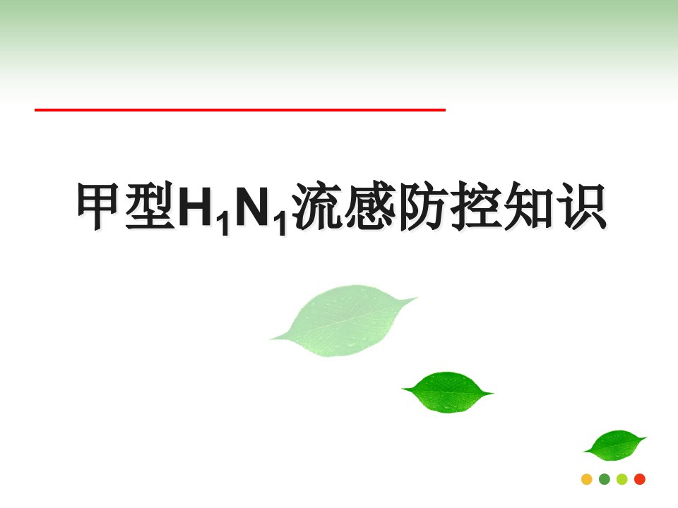 甲型H1N1流感防控知识培训讲学