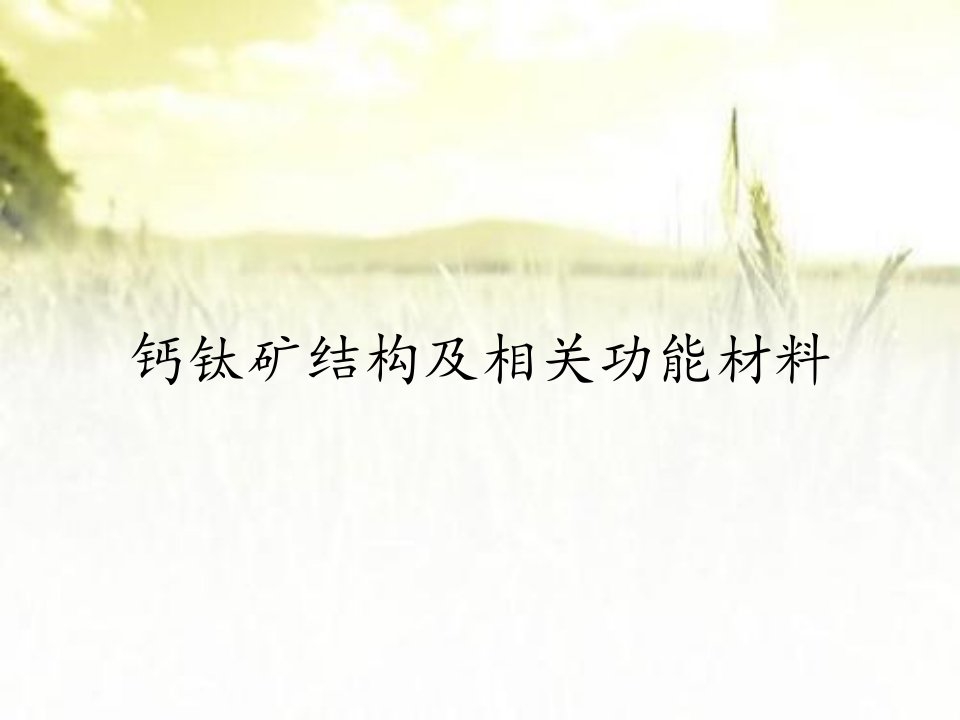 钙钛矿结构及相关功能材料