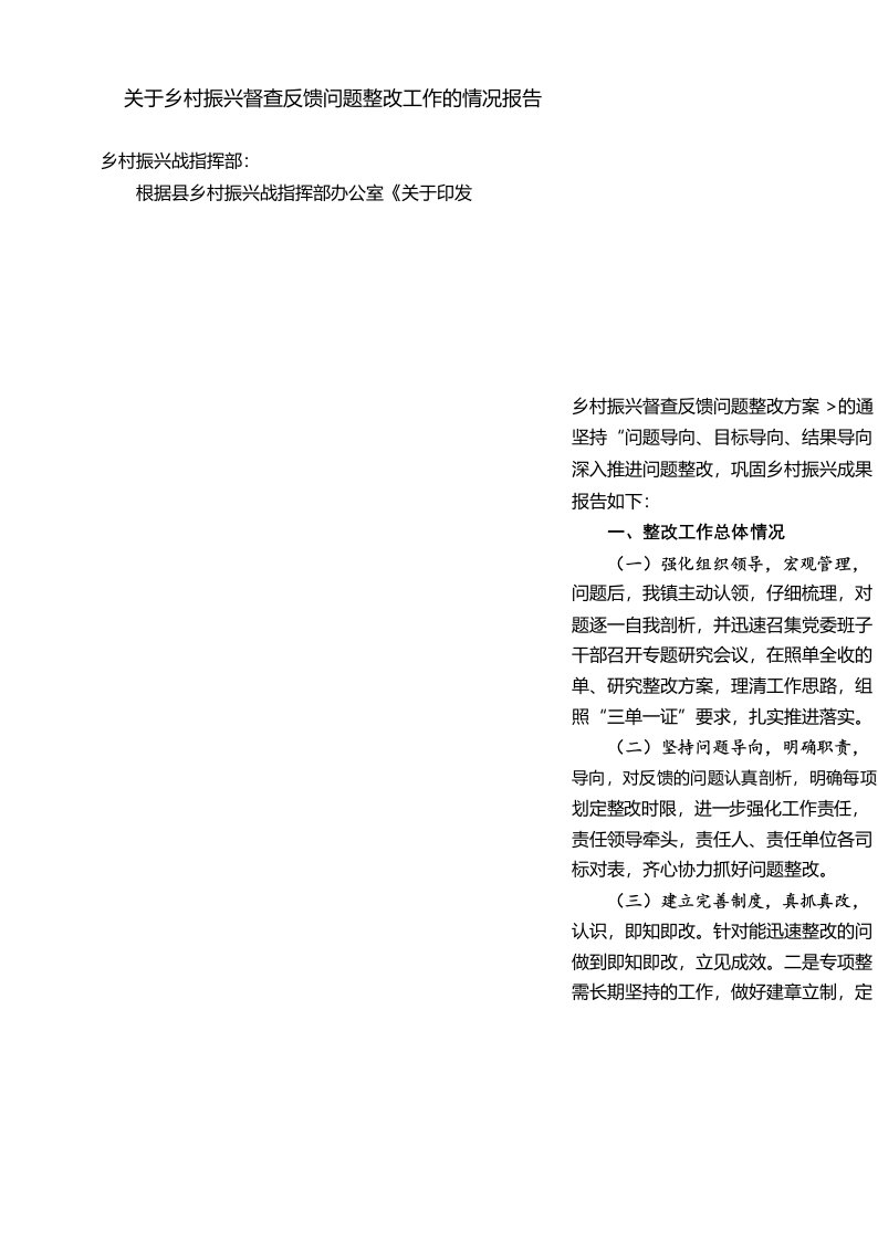 关于乡村振兴督查反馈问题整改工作的情况报告