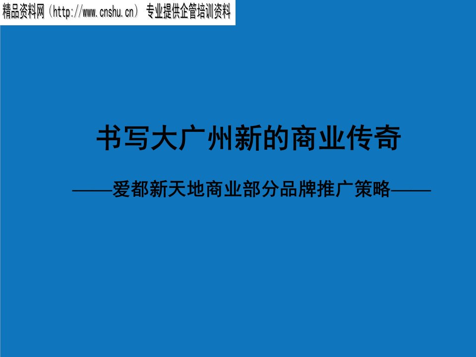 战略管理-爱都新天地商业部分品牌推广策略