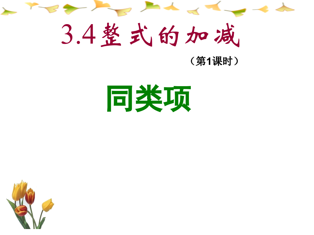 34整式的加减(第1课时)同类项