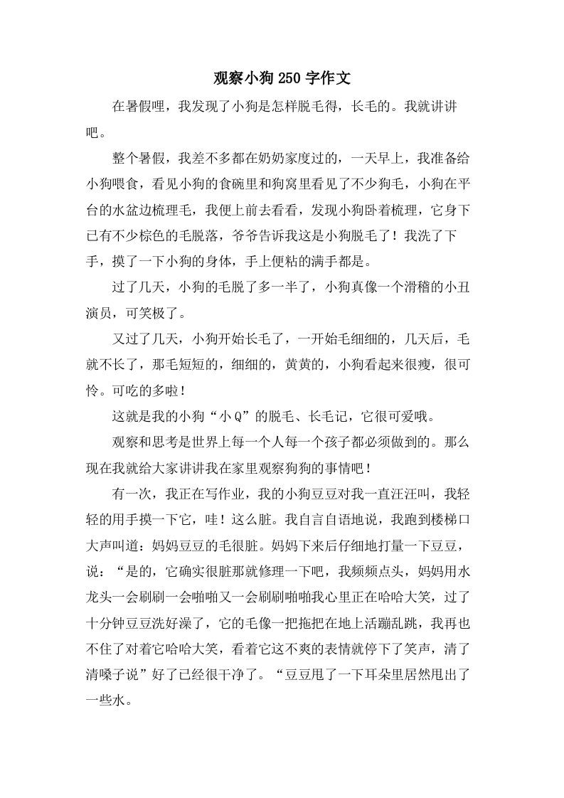 观察小狗250字作文