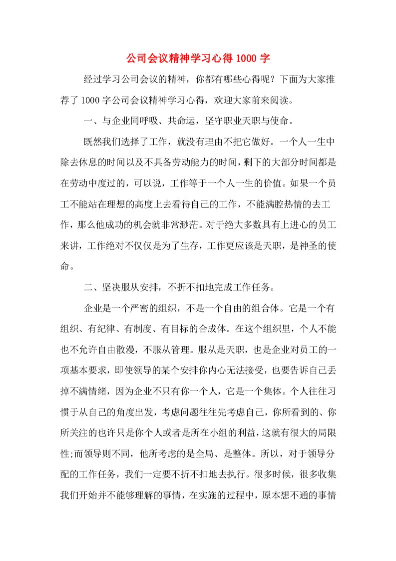 公司会议精神学习心得1000字