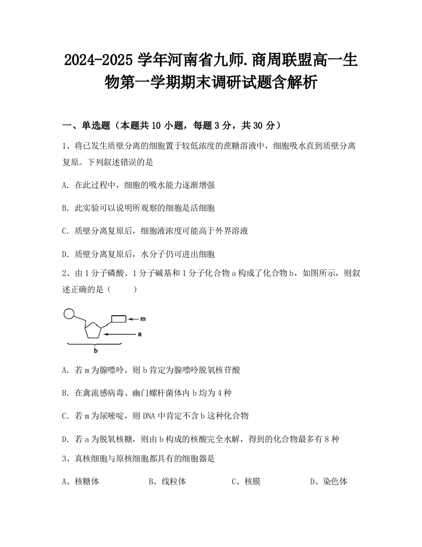 2024-2025学年河南省九师商周联盟高一生物第一学期期末调研试题含解析