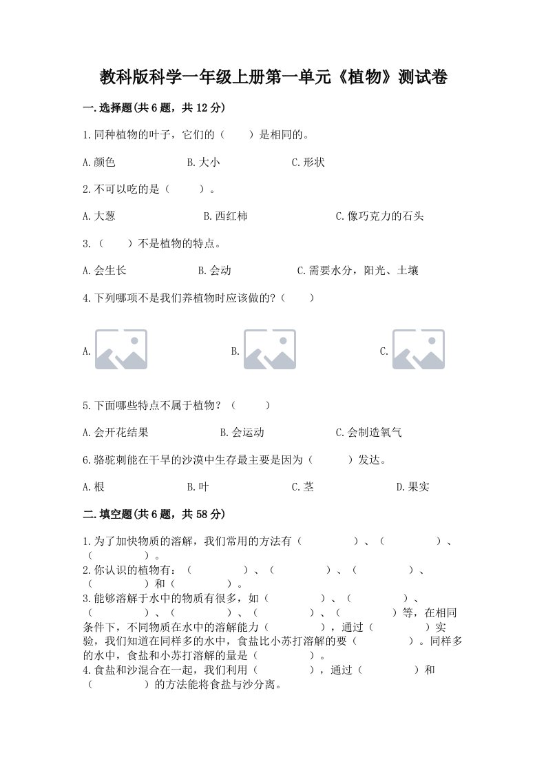 教科版科学一年级上册第一单元《植物》测试卷及完整答案【历年真题】