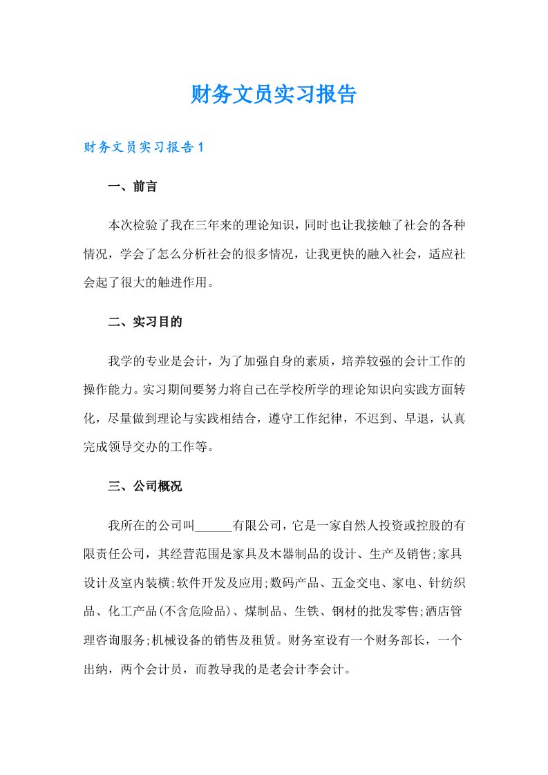 财务文员实习报告