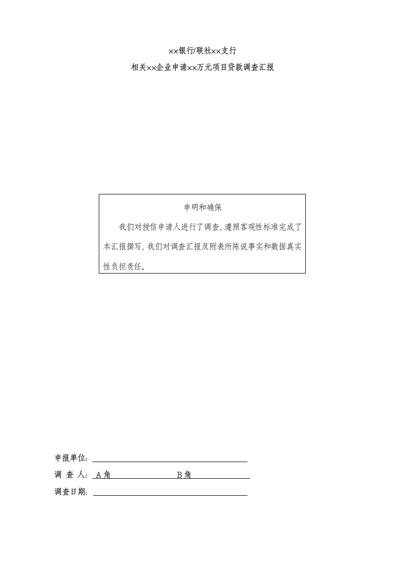 综合项目贷款调查研究报告模板实务