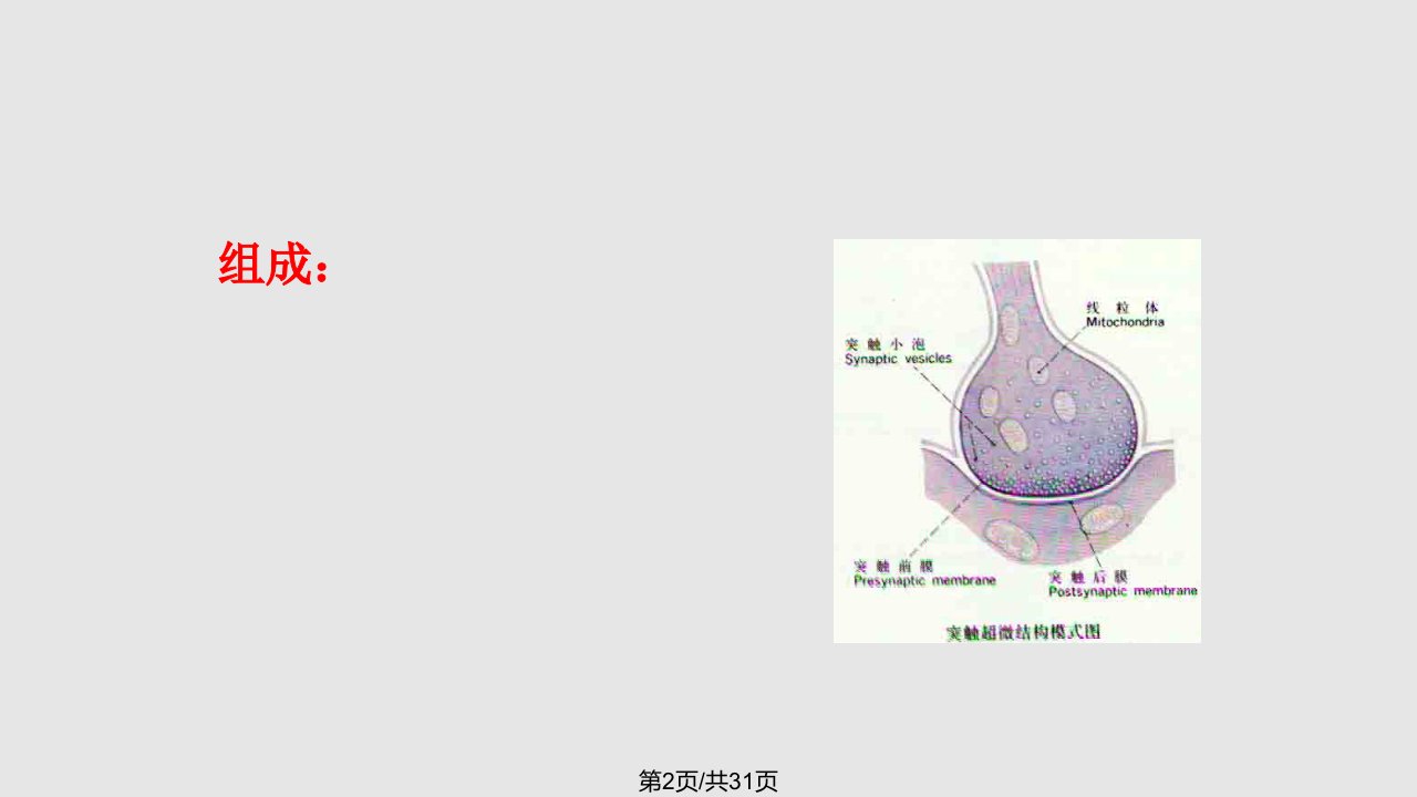 重症肌无力护理课件