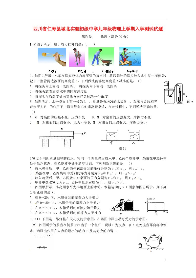 四川省仁寿县城北实验初级中学九级物理上学期入学测试试题（无答案）