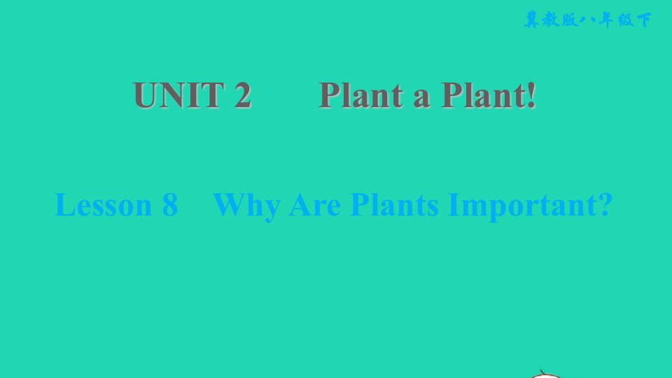 2022八年级英语下册Unit2PlantaPlantLesson8WhyArePlantsImportant习题课件新版冀教版