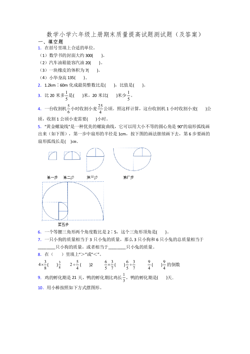 数学小学六年级上册期末质量提高试题测试题(及答案)