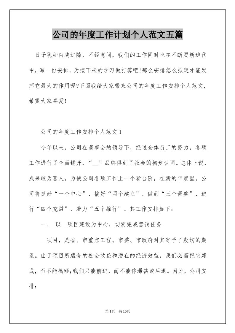 公司的年度工作计划个人范文五篇