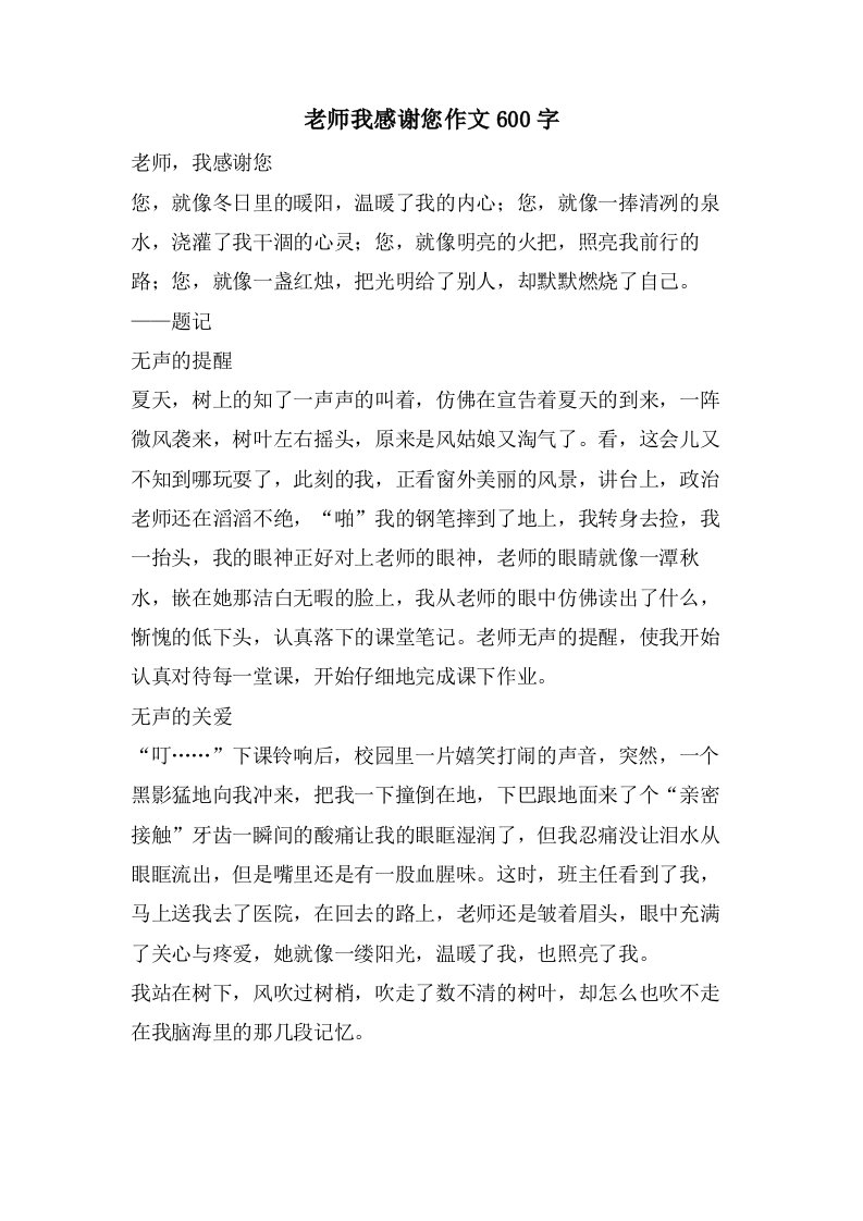 老师我感谢您作文600字